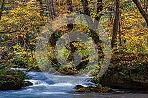 Oirase Stream in sunny day, beautiful fall foliage scene in autumn colors