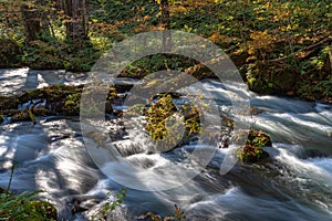 Oirase Stream in sunny day, beautiful fall foliage scene in autumn colors