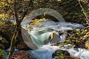 Oirase Stream in sunny day, beautiful fall foliage scene in autumn colors