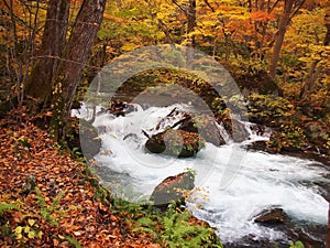 Oirase Streams, Aomori, Japan