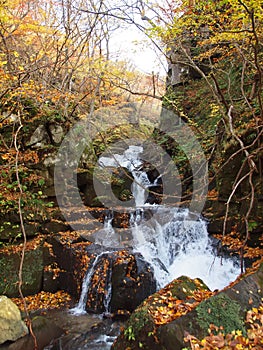 Oirase Streams, Aomori, Japan photo