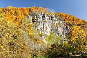 Trees and hills in autumn colors /  landscape, Poland