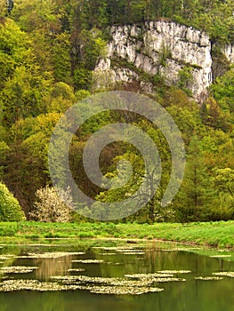 Ojcow National Park in Poland