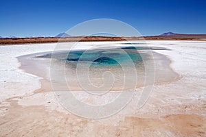 Ojos de Mar close to the town of Tolar Grande in Puna, Argentina