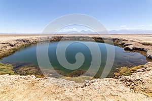 Ojos del Salar Lagoon, Salar de Atacama, Chile