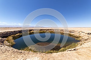 Ojos del Salar Lagoon, Salar de Atacama, Chile