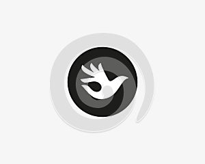 Ok bird vector logo design. Hand wings logotype. Fingers dove okay trick negative space idea symbol.