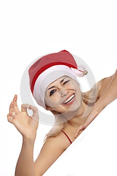 OK Santa Portrait - Blank sign