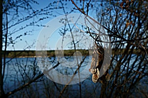 Oka River, Zhdanov backwater