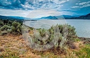 Okanagan Lake Near Naramata View With Brush