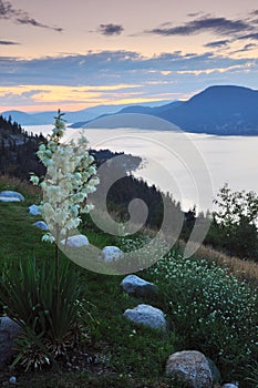 Okanagan lake at sunrise