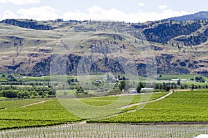 Okanagan Valley wine country 1