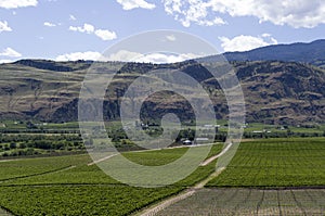 Okanagan Valley wine country 14