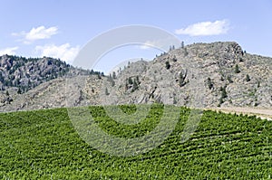 Okanagan Valley wine country 17