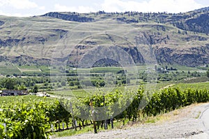 Okanagan Valley wine country 9