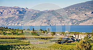 Okanagan wine country in Western Canada, British Columbia. Landscape