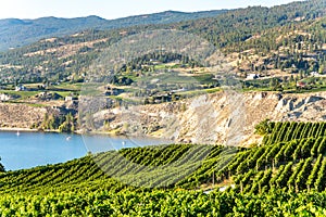 Okanagan wine country in Western Canada, British Columbia. Landscape