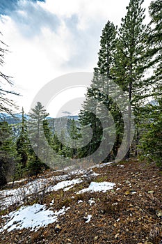 Okanogan-Wenatchee National Forest