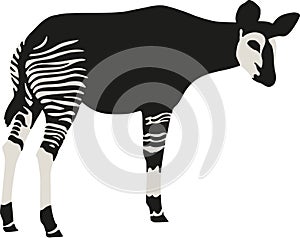 Okapi