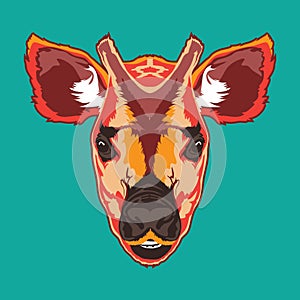 Okapi face vector illustration in hand drawn cartoon style design