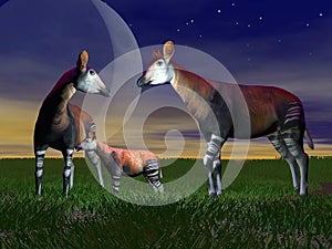 Okapi family - 3D render