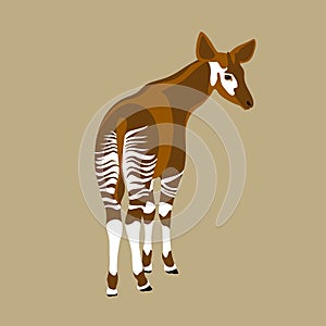 Okapi vector illustration style Flat