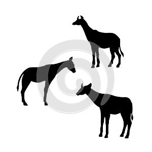 Okapi vector silhouettes