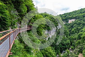 Okatse Canyon in Georgia with hanging metal pedestrian pathway trail above deep precipice, lush vegetation and forests, no people