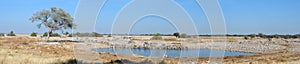 Okaukeujo waterhole panorama 3