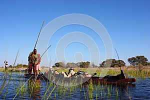 Okavango Delta