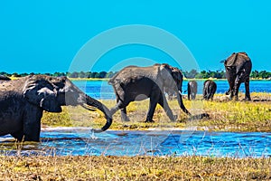 The Okavango Delta