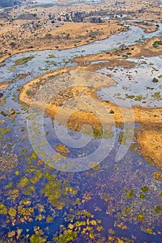 Okavango Delta