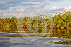 Okavango delta