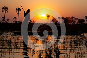 Okavango Delta at sunset, Botswana.