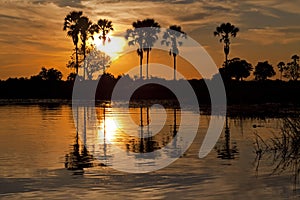 Okavango Delta