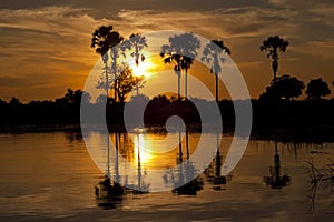 Okavango Delta
