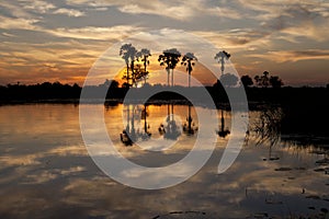 Okavango Delta