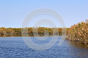 Okavango Delta water and