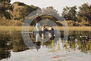 Okavango Trip with Dugout Canoe in Botswana