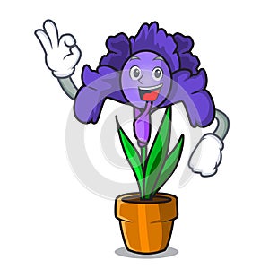 Okay iris flower character cartoon