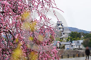 Okayama Castle Japan