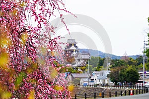 Okayama Castle Japan