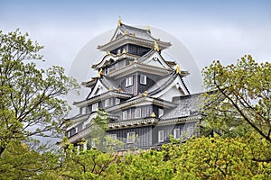 Okayama castle, Japan