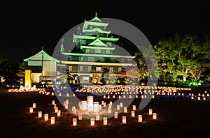 Okayama castle with lanterns light-up at night in Okayama, Japan