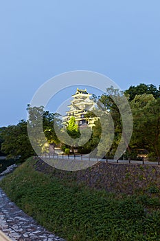 Okayama castle at night, Japan