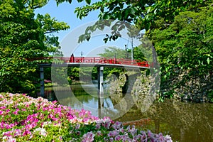 Okazaki Park with tender green in Aichi, Japan