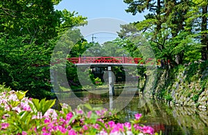 Okazaki Park with tender green in Aichi, Japan