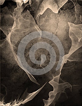 Okeefe like abstract