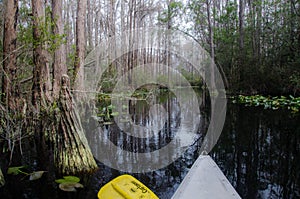 Okefenokee Canoe Paddle