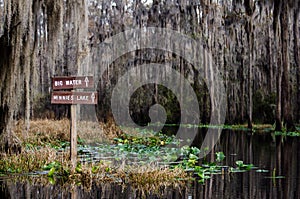 Okefenokee Swamp Big Water and Minnies Lake Sign canoe trail, spanish moss and spatterdock lily pads